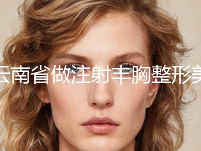 云南省做注射丰胸整形美容科价格表（收费标准）2024版(2024年5月均价为：23022元）