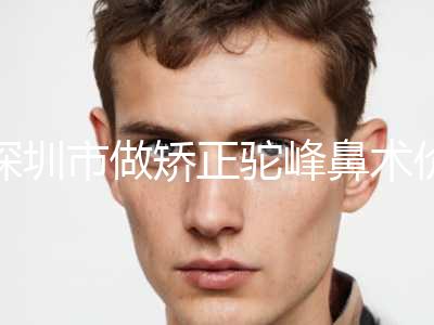 深圳市做矫正驼峰鼻术价格(价目)2024种草特色人气项目(近6个月均价为：17867元)