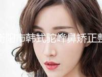 衡阳市韩式驼峰鼻矫正整形科价格表(2024年3月均价为：12591元）