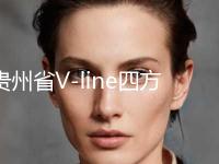 贵州省V-line四方脸整形术价格项目明细在线查询-均价V-line四方脸整形术18013元